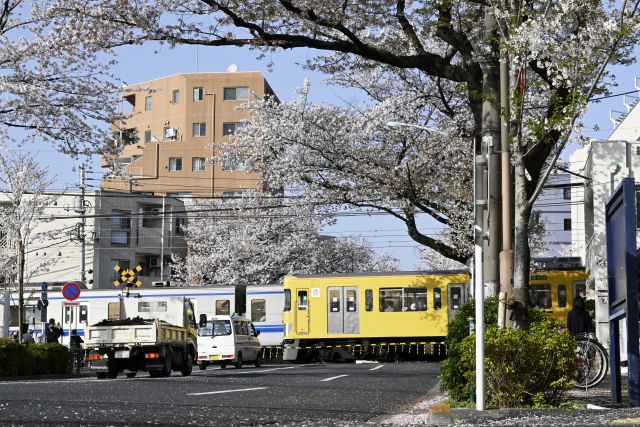 新井薬師前 ルイヴィトン買取 おすすめ